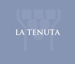 Tenuta Rocca di Fabbri - La Tenuta