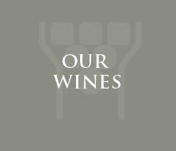 Rocca di Fabbri Estate- Our wines