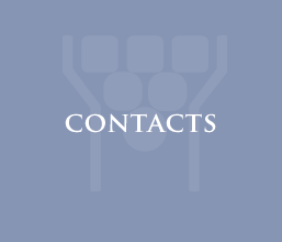 Subretia country residences in Umbria - Contact information