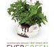 Eurochocolate Evergreen 2013